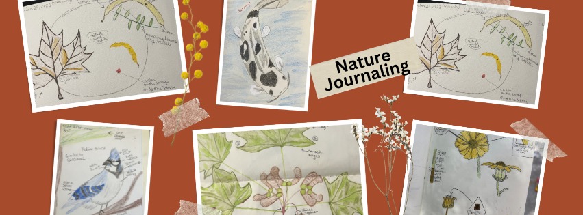 Sketch, Scribble & Discover – Nature Journaling