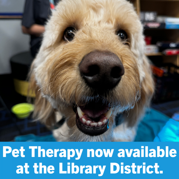 Pet Therapy in the Teen Zone